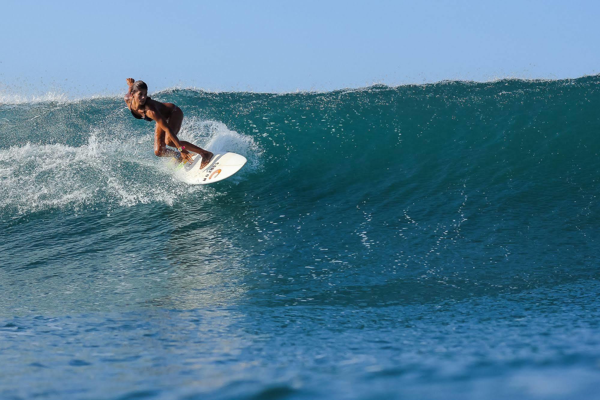 La Negra Surf Hotel ノサラ エクステリア 写真